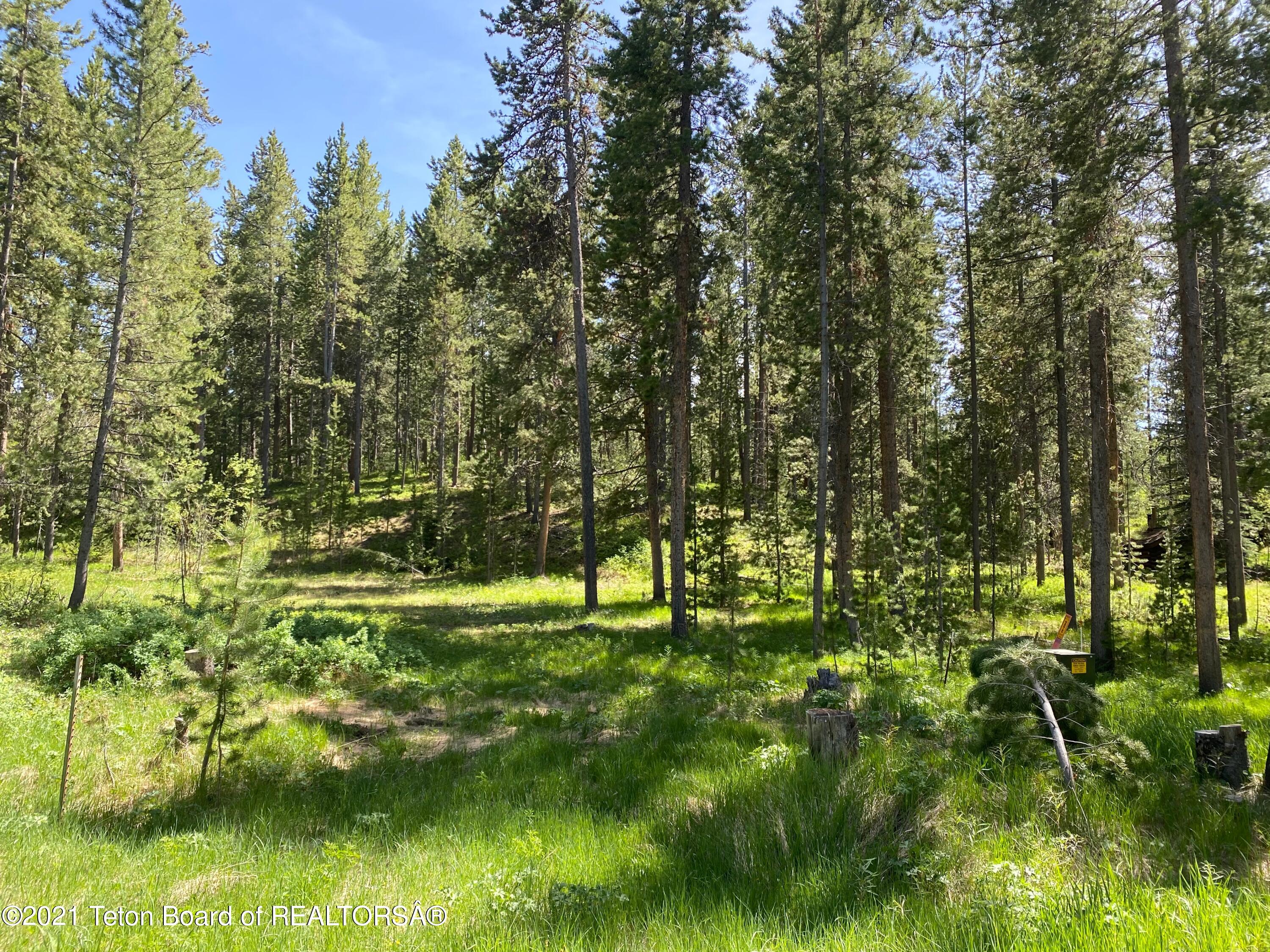 17845 Old Ranch Road Moose, WY 83012 - Photo 1 of 1 Looking south from middle lot ground