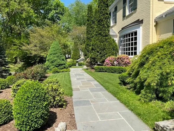 a view of a garden with pathway