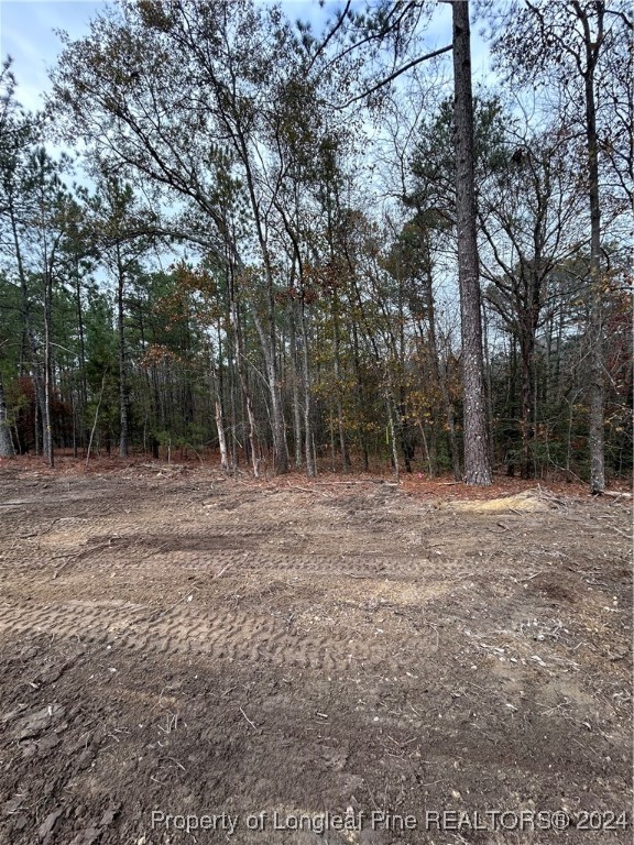 772 Roberts Road Sanford, NC 27332 - Photo 27 of 27 Gallery Image 27