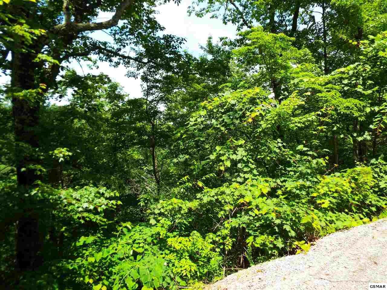 11 Wildcat Ridge Road Sevierville, TN 37862 - Photo 3 of 24