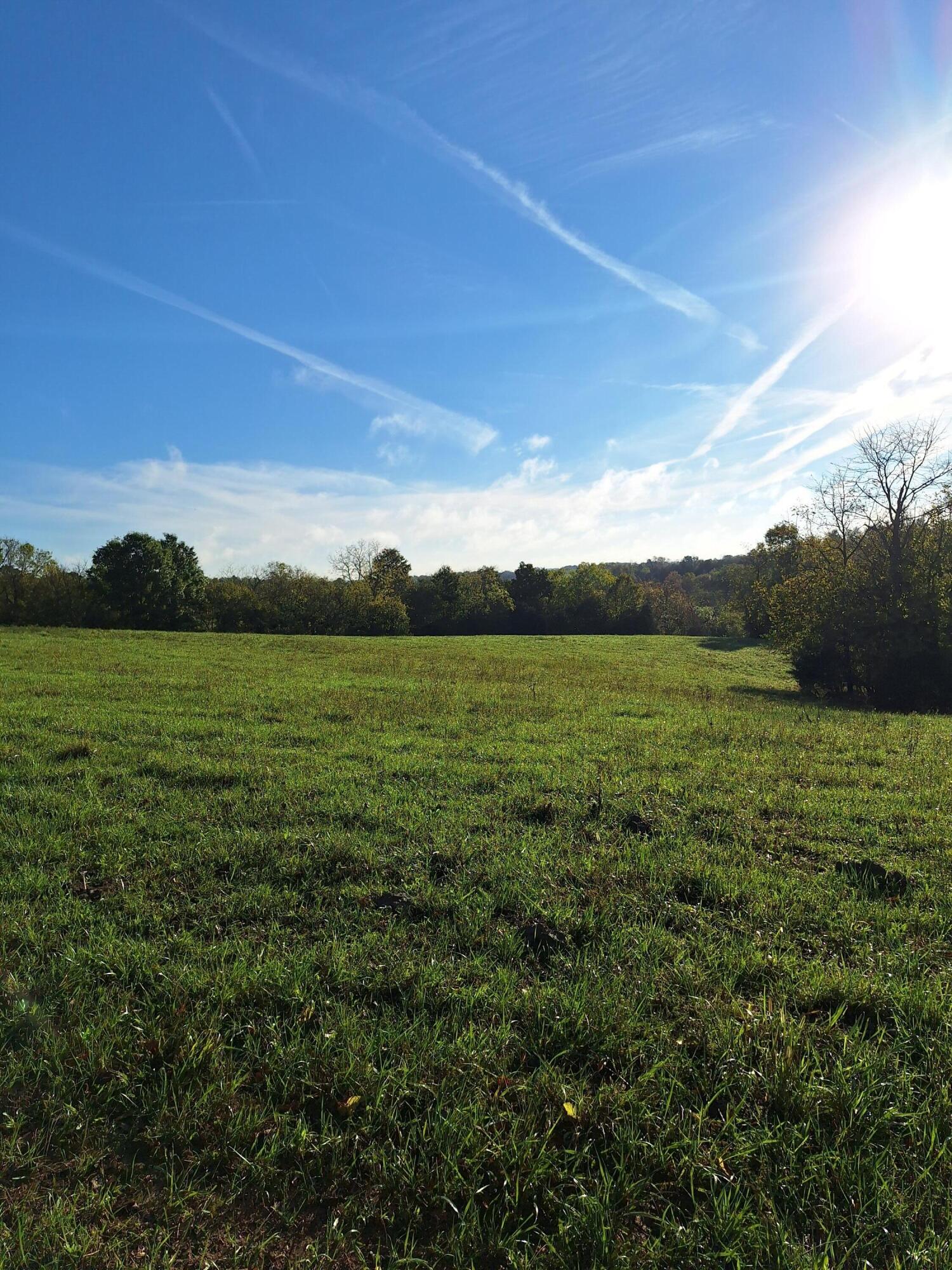 0 Casey Mill Road Berry, KY 41003 - Photo 7 of 28 Gallery Image 7