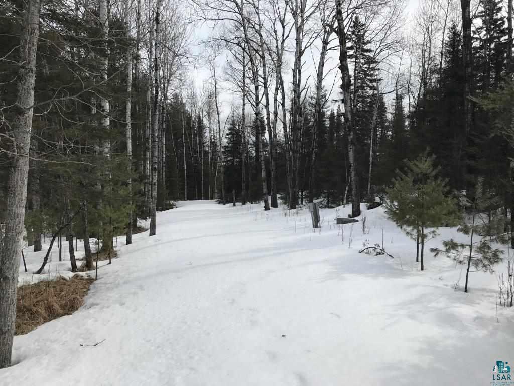 2390 High Creek Road Ely, MN 55731 - Photo 2 of 11 Driveway leading to building site.