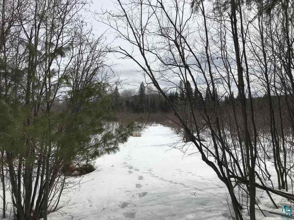 2390 High Creek Road Ely, MN 55731 - Photo 5 of 11 Trial leading to Longstorff Creek.