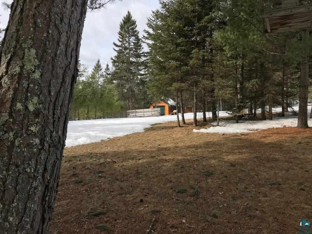 2390 High Creek Road Ely, MN 55731 - Photo 8 of 11 Property has many large pine as well.