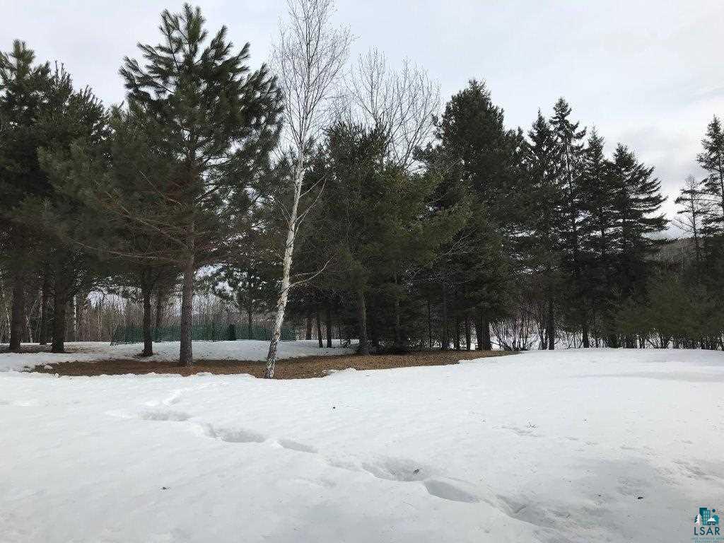 2390 High Creek Road Ely, MN 55731 - Photo 9 of 11 Gallery Image 9