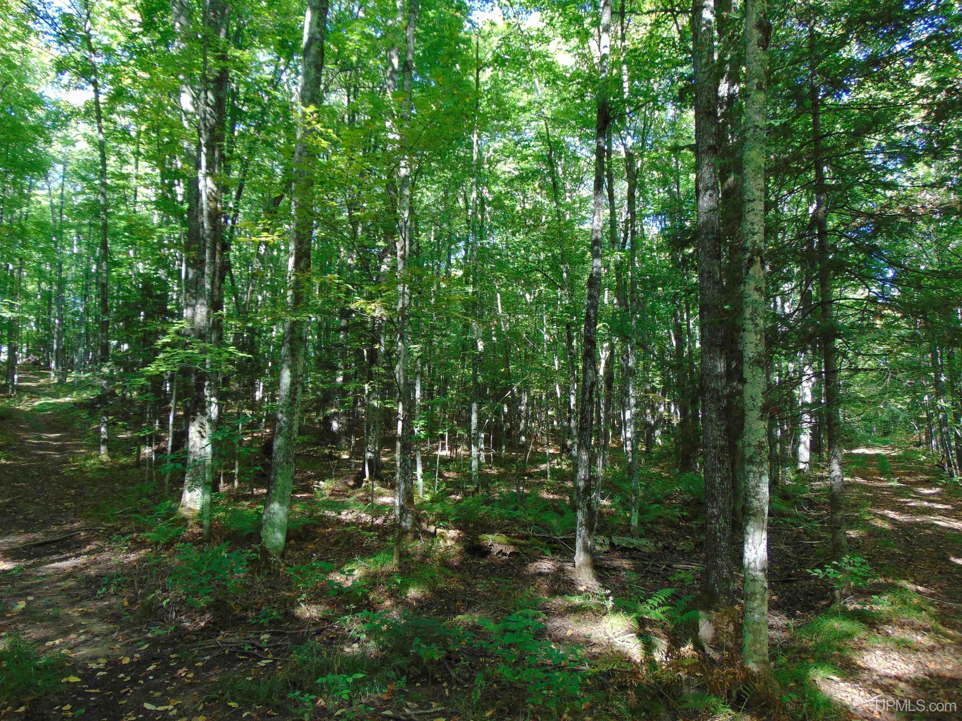14571 Holombo Road Bruce Crossing, MI 49912 - Photo 19 of 30