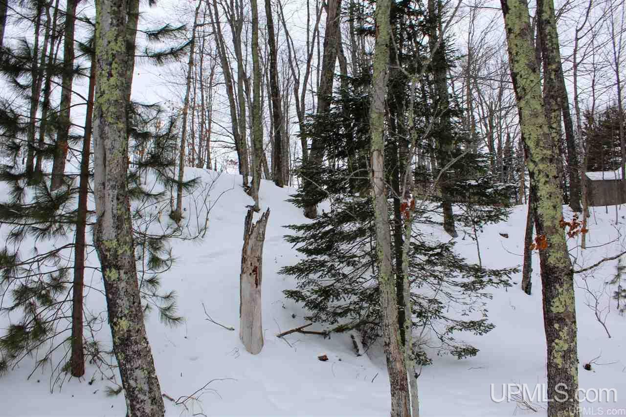 Tbd Des Rochers Road, Unit LOT 19 Pelkie, MI 49958 - Photo 24 of 33