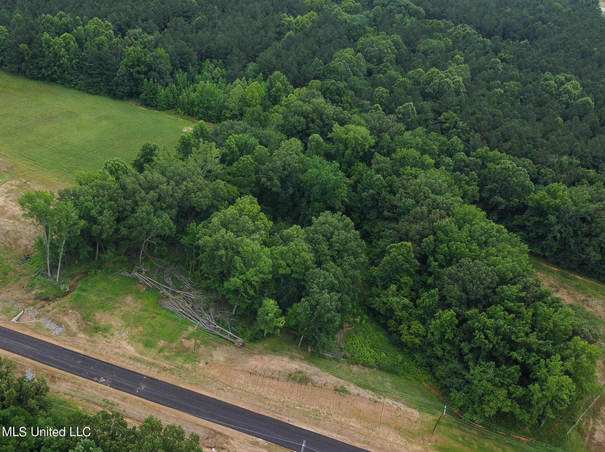 5172 Sophia Lane Hernando, MS 38632 - Photo 4 of 8 5172 Sofia Ln LOT 27