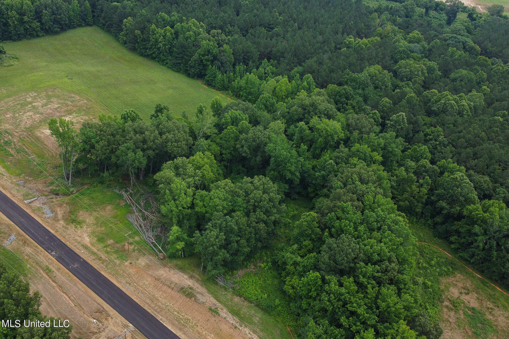 5172 Sophia Lane Hernando, MS 38632 - Photo 5 of 8 5172 Sofia Ln LOT 27