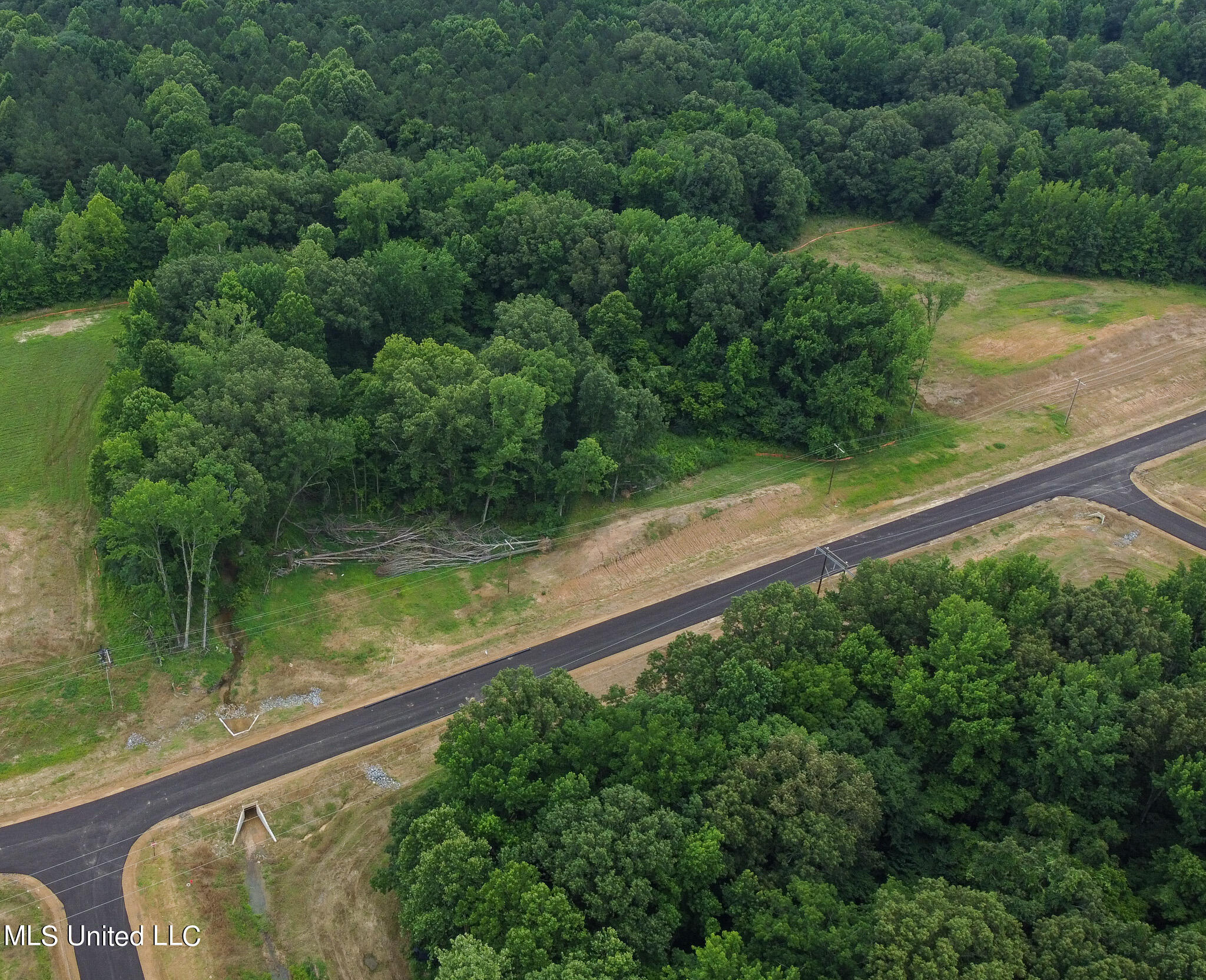 5172 Sophia Lane Hernando, MS 38632 - Photo 7 of 8 5172 Sofia Ln LOT 27