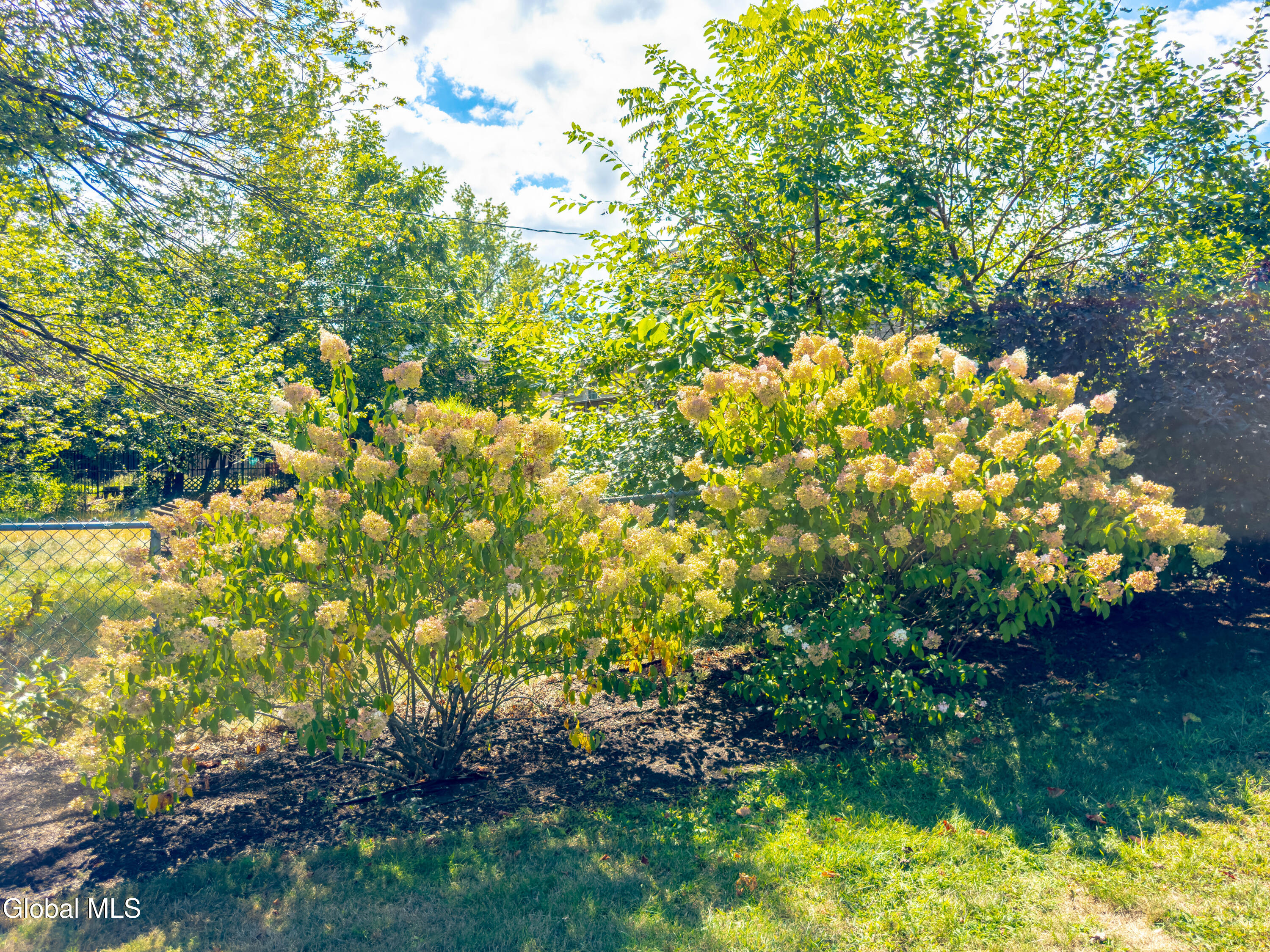 13 Swayze Drive Colonie, NY 12110 - Photo 34 of 35 IMG_1847