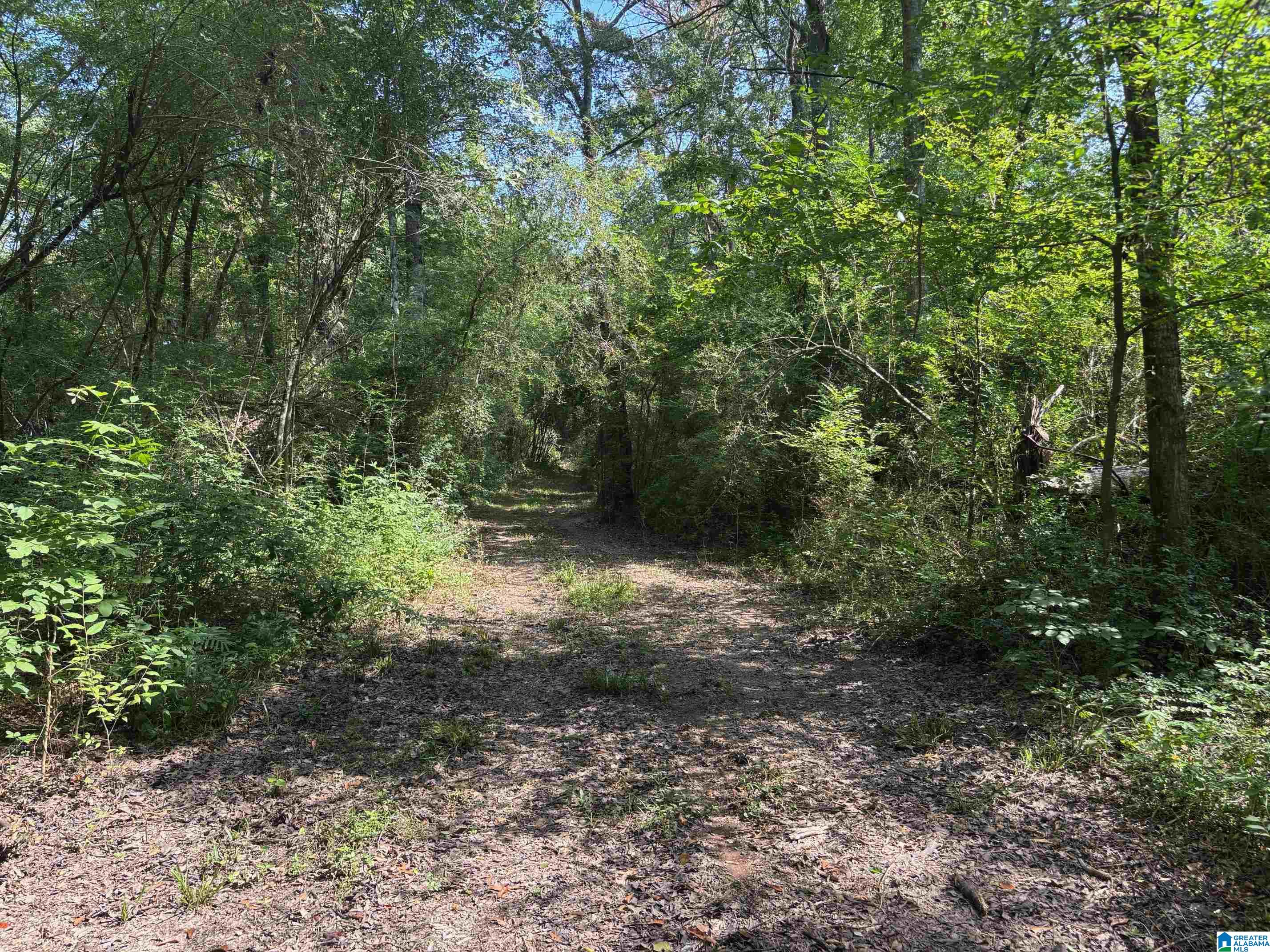 1675 Blue Eye Springs Road Lincoln, AL 35096 - Photo 59 of 60