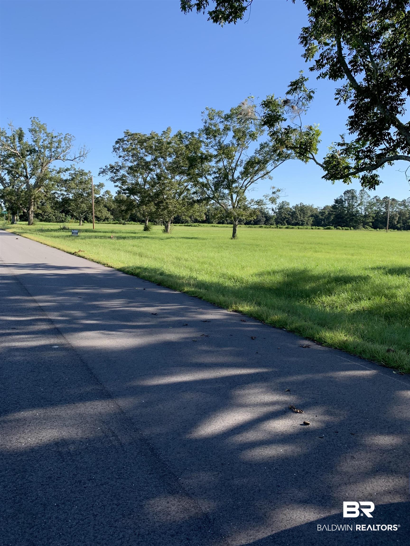Lot 11 Highway 98 Elberta, AL 36530 - Photo 2 of 6