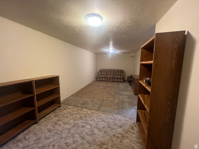 819 Castle Gate Circle Helper, UT 84526 - Photo 21 of 36 Basement family room