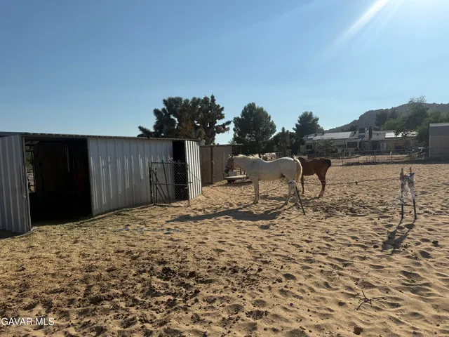 a view of a backyard of the house
