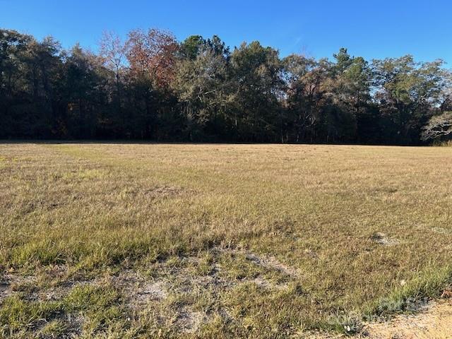 0 Baxley Farm Road Kershaw, SC 29067 - Photo 6 of 8 a view of beach and yard