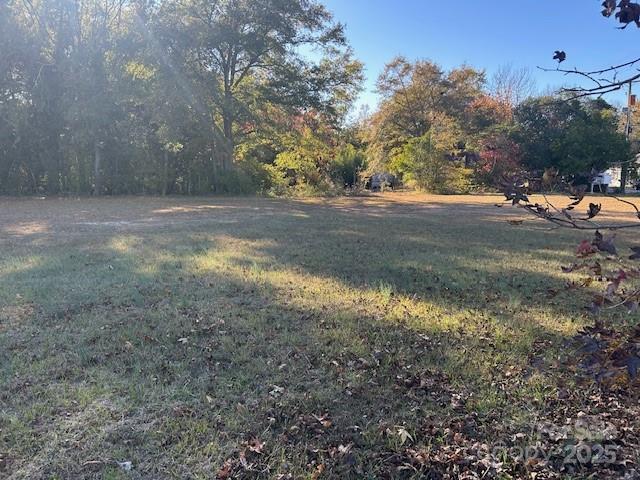 0 Baxley Farm Road Kershaw, SC 29067 - Photo 7 of 8 a view of dirt yard with a large tree