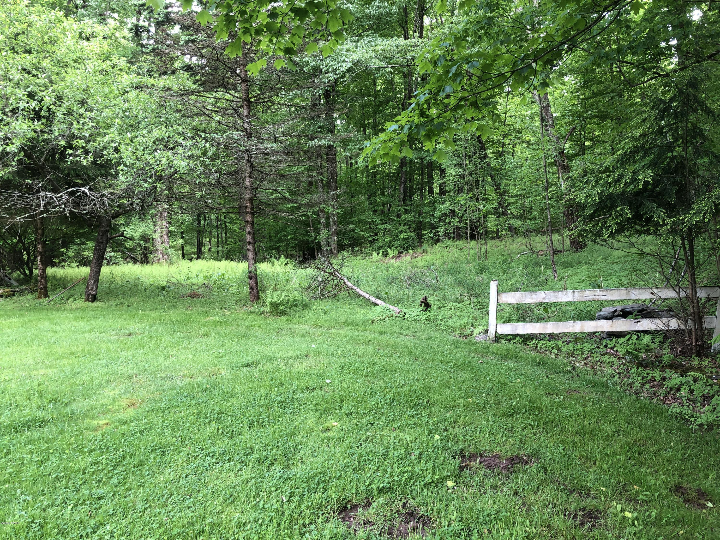 521 Perkins Pond Road Beach Lake, PA 18405 - Photo 21 of 27 Back Yard