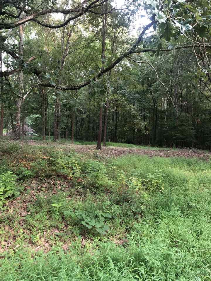 0 Cherry Road Eads, TN 38028 - Photo 2 of 3 Gallery Image 2