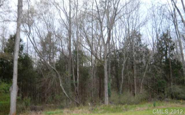 Trt A Passmore Road Rock Hill, SC 29730 - Photo 1 of 1