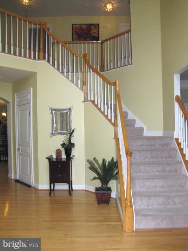 6208 Winters Ridge Hanover, MD 21076 - Photo 27 of 30 Entrance/Foyer