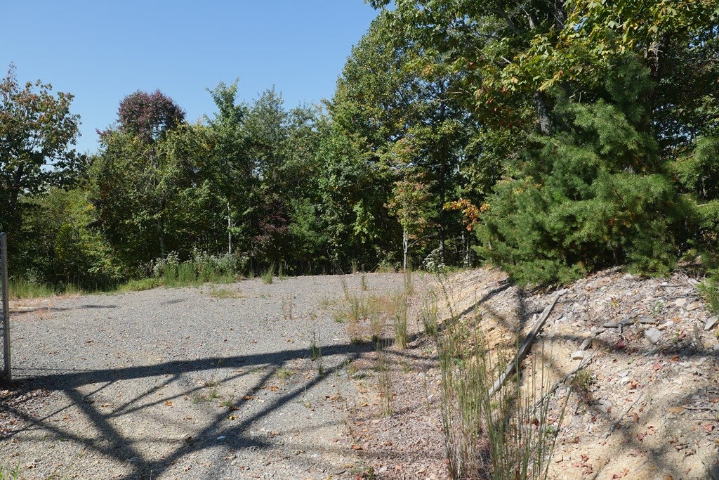 Tbd Hall Hollow Road, Unit 1 Austinville, VA 24312 - Photo 71 of 76 Gallery Image 71