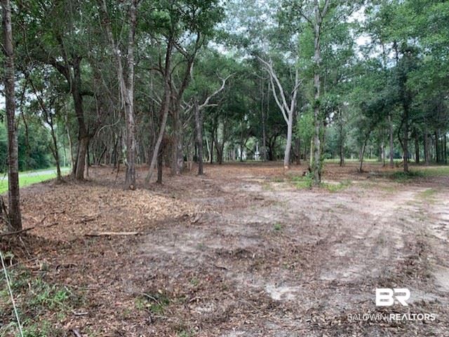 0 Leiterman Road Elberta, AL 36530 - Photo 7 of 13