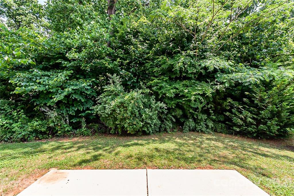 11726 Bending Branch Road Charlotte, NC 28227 - Photo 19 of 21 Gallery Image 19