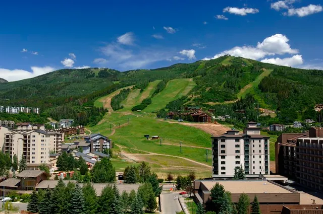 a view of a golf course with a tree