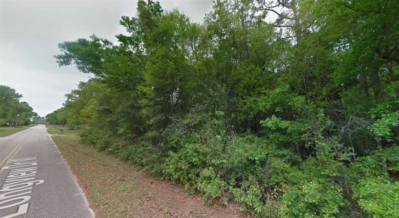 Longview Drive Foley, AL 36535 - Photo 2 of 9