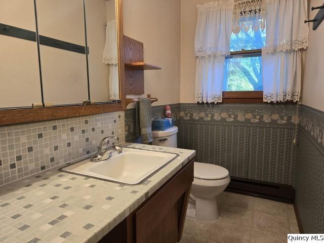 707 Country Lane Carthage, IL 62321 - Photo 11 of 26 a bathroom with a sink a toilet and mirror