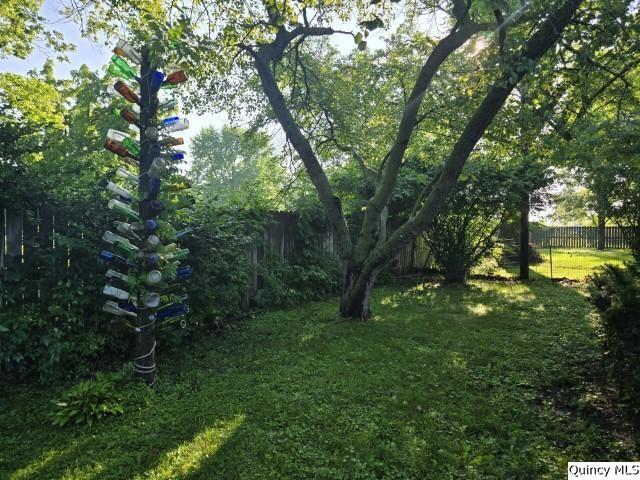 707 Country Lane Carthage, IL 62321 - Photo 26 of 26 a view of a yard with a tree