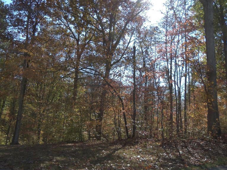 3 North Ridge Road Nancy, KY 42544 - Photo 5 of 30 Additional Photo