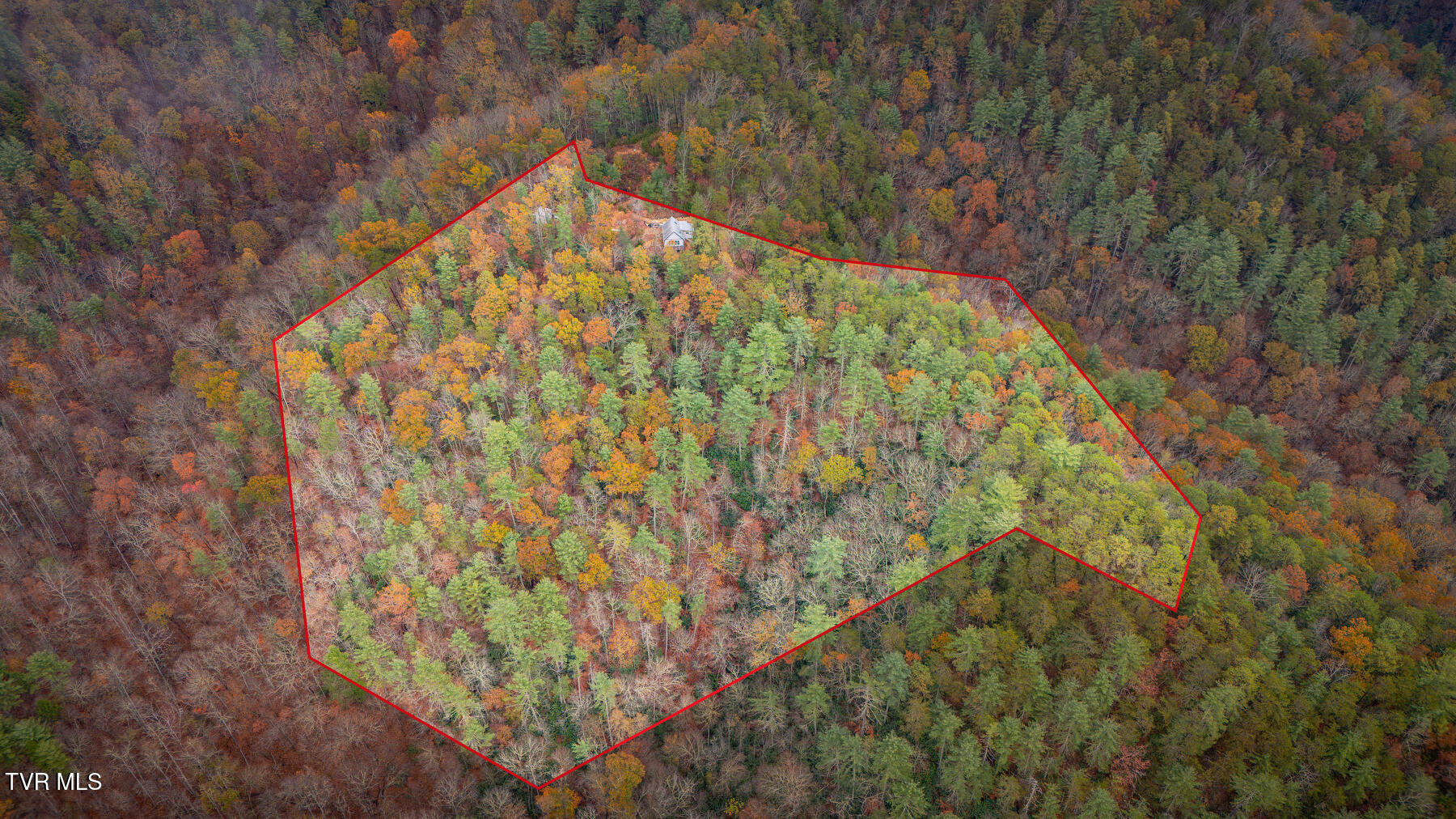 1272 Peach Orch Way Del Rio, TN 37727 - Photo 2 of 56 _Pic2 (41)