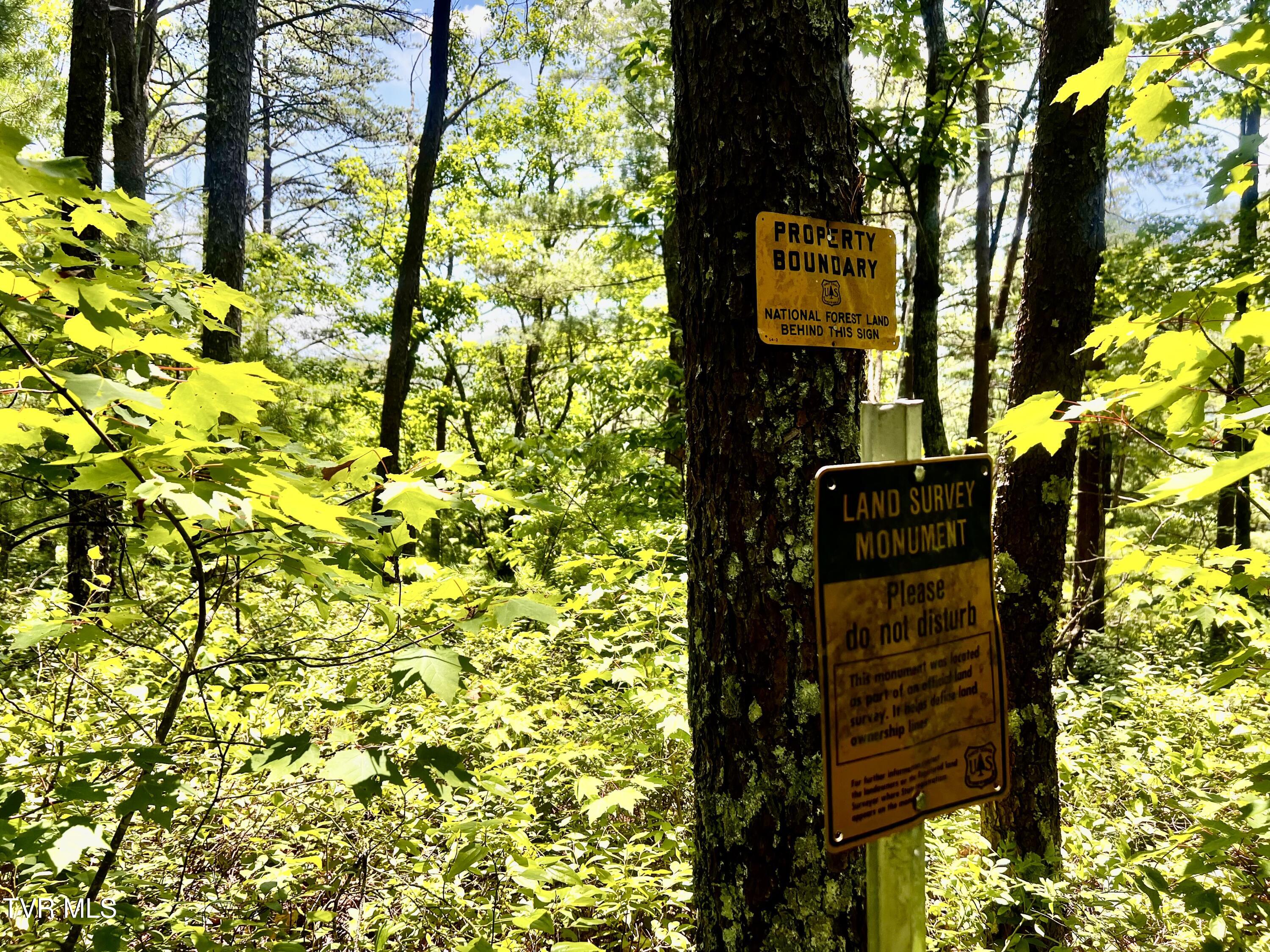 1272 Peach Orch Way Del Rio, TN 37727 - Photo 3 of 56 _Pic3 (48)