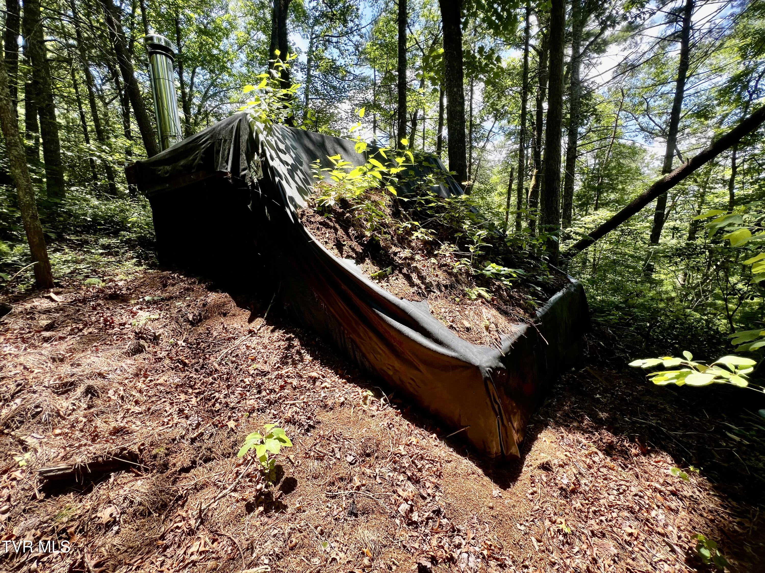 1272 Peach Orch Way Del Rio, TN 37727 - Photo 37 of 56 _Pic37 (16)