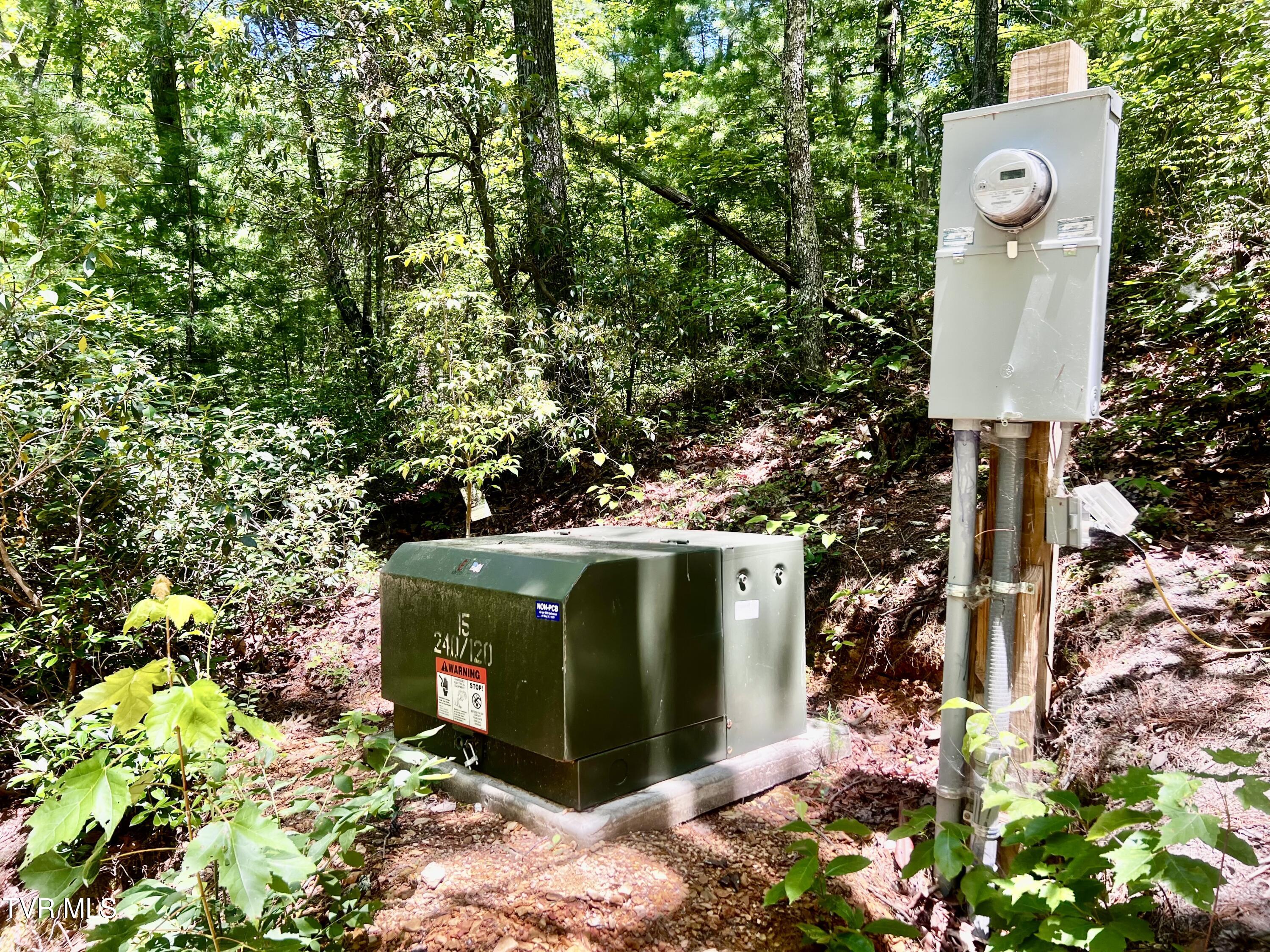 1272 Peach Orch Way Del Rio, TN 37727 - Photo 4 of 56 _Pic4 (43)