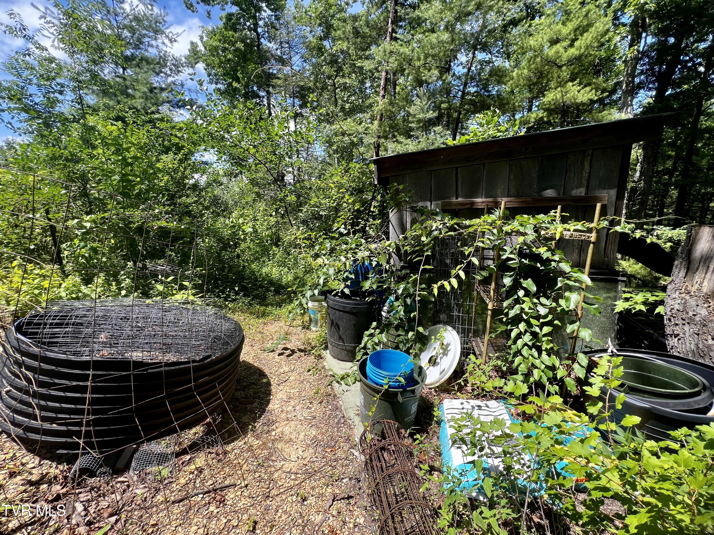 1272 Peach Orch Way Del Rio, TN 37727 - Photo 41 of 56 _Pic41 (16)