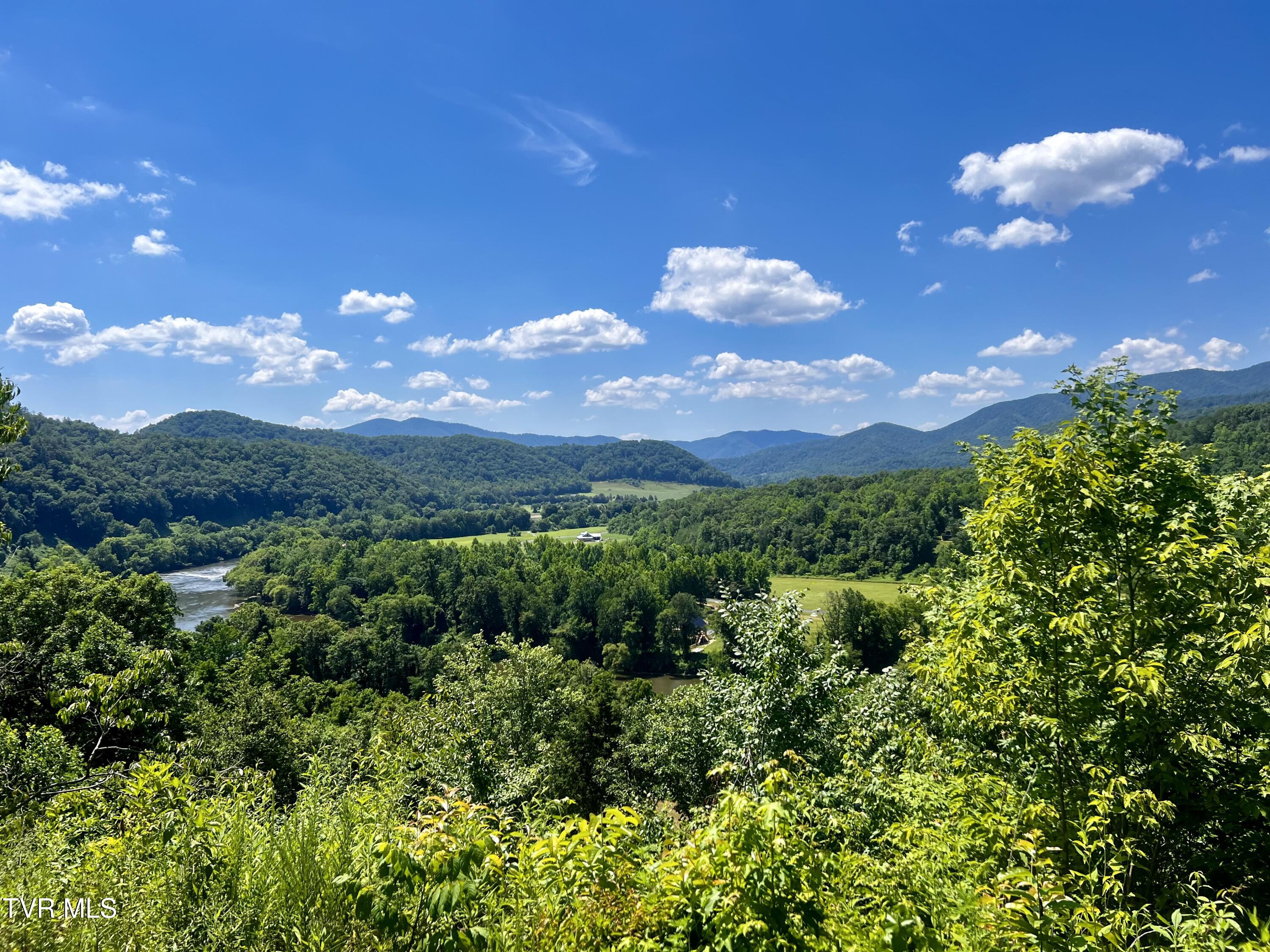 1272 Peach Orch Way Del Rio, TN 37727 - Photo 42 of 56 _Pic42 (15)