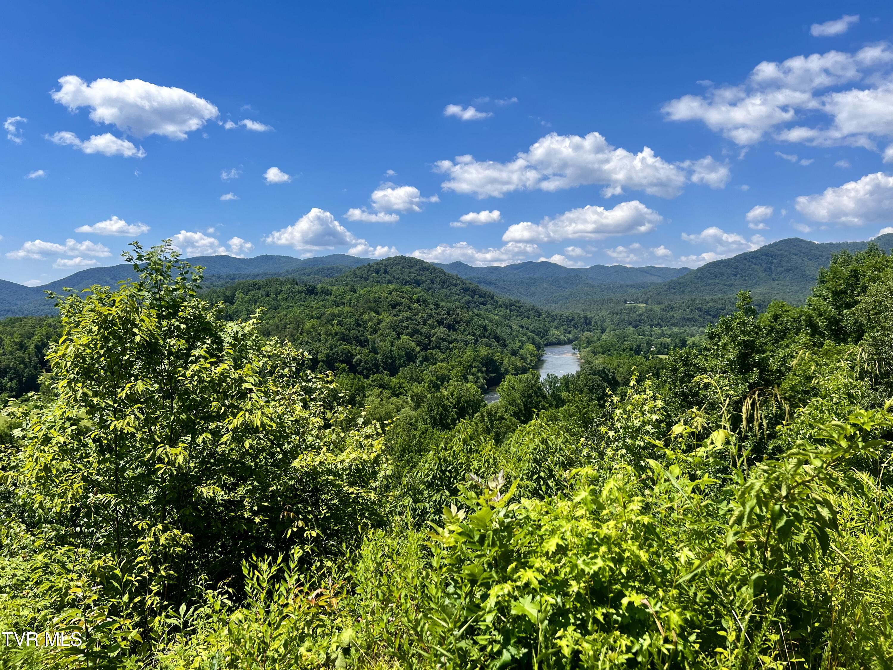 1272 Peach Orch Way Del Rio, TN 37727 - Photo 43 of 56 _Pic43 (15)