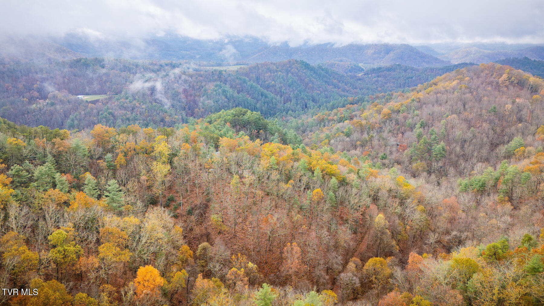 1272 Peach Orch Way Del Rio, TN 37727 - Photo 45 of 56 _Pic45 (13)