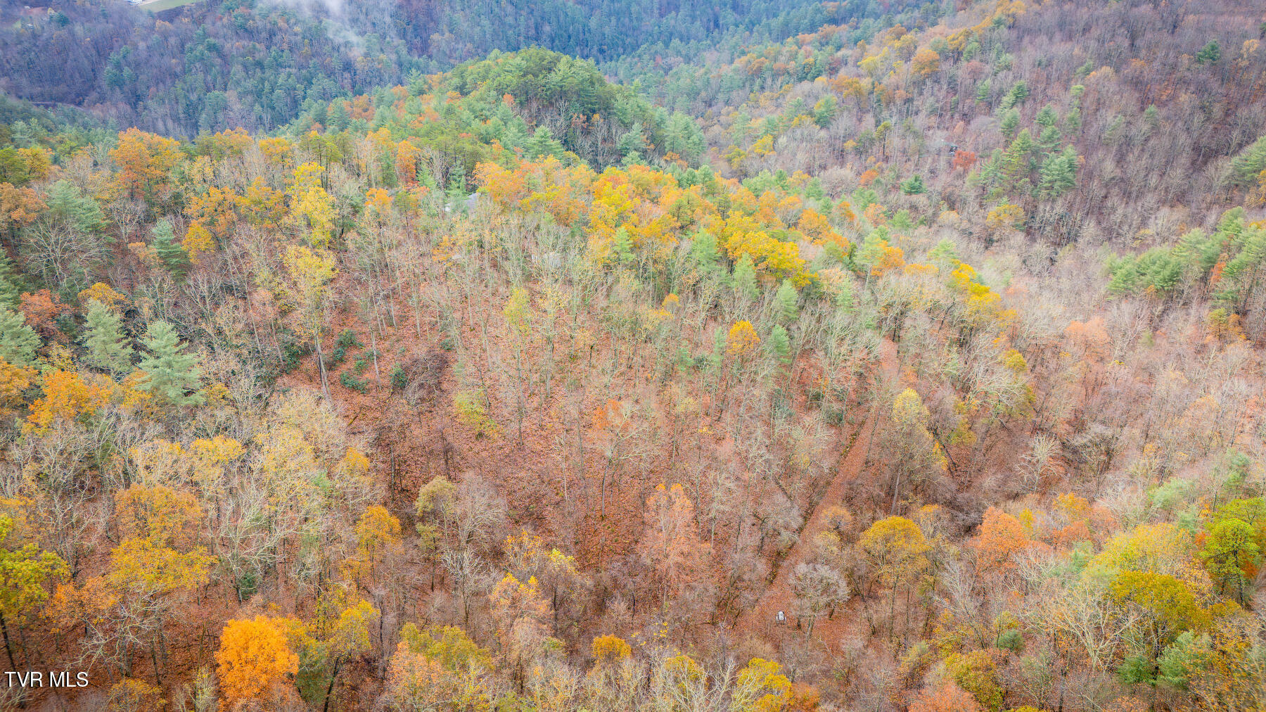 1272 Peach Orch Way Del Rio, TN 37727 - Photo 46 of 56 _Pic46 (13)