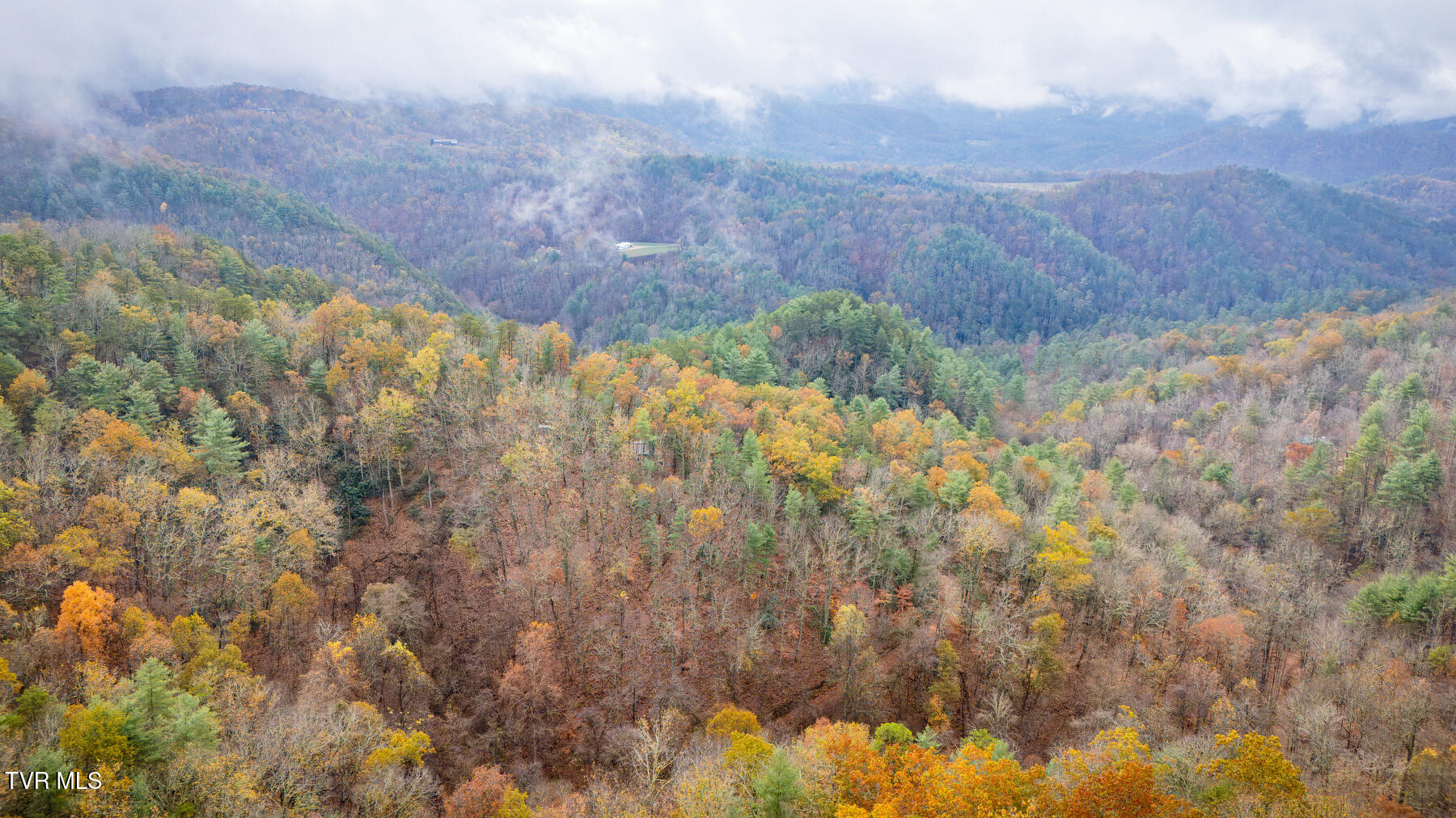 1272 Peach Orch Way Del Rio, TN 37727 - Photo 47 of 56 _Pic47 (14)