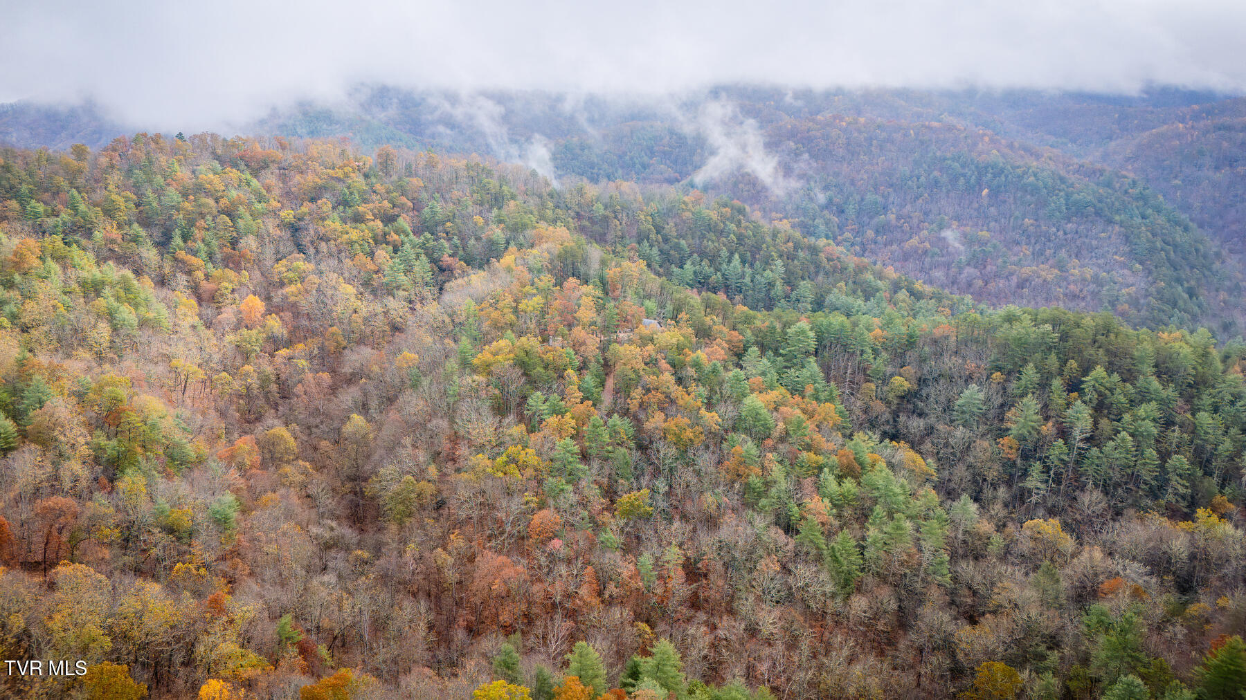 1272 Peach Orch Way Del Rio, TN 37727 - Photo 48 of 56 _Pic48 (14)