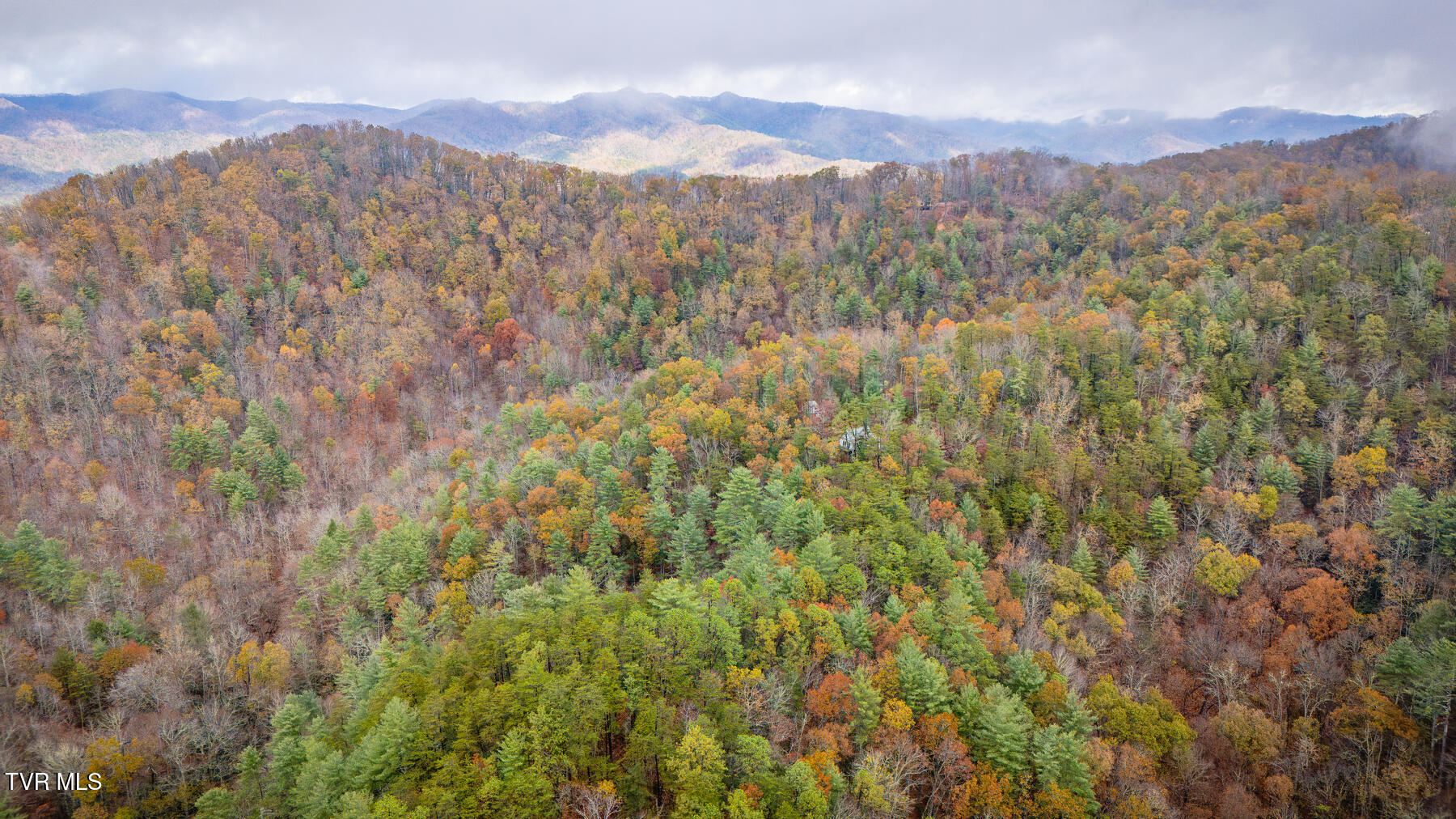 1272 Peach Orch Way Del Rio, TN 37727 - Photo 49 of 56 _Pic49 (15)