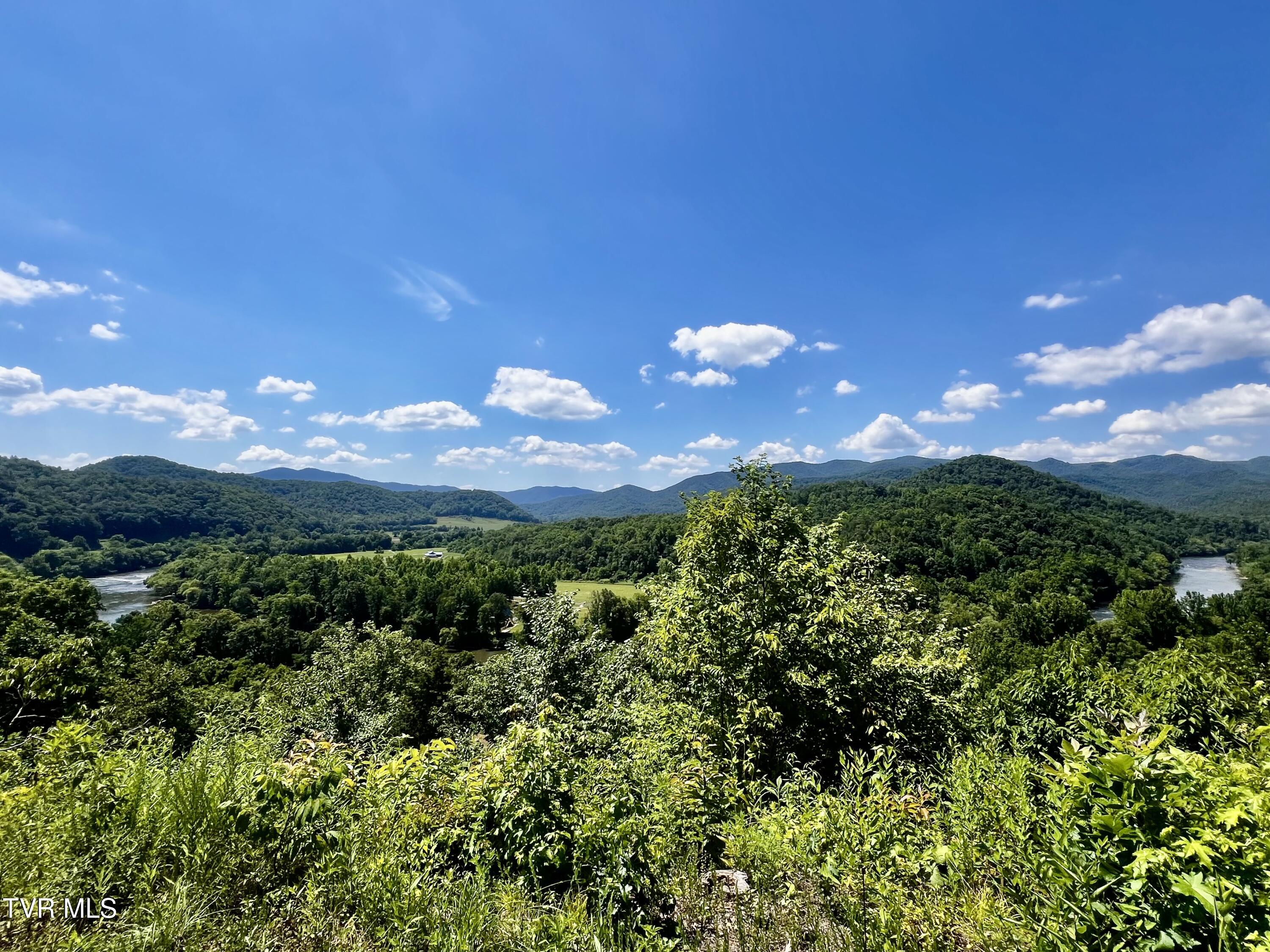 1272 Peach Orch Way Del Rio, TN 37727 - Photo 5 of 56 _Pic5 (36)