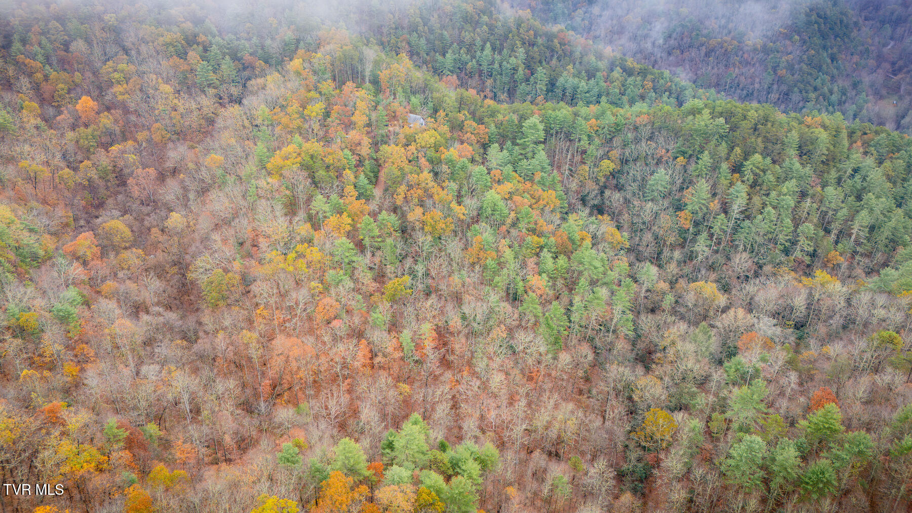 1272 Peach Orch Way Del Rio, TN 37727 - Photo 51 of 56 _Pic51 (16)