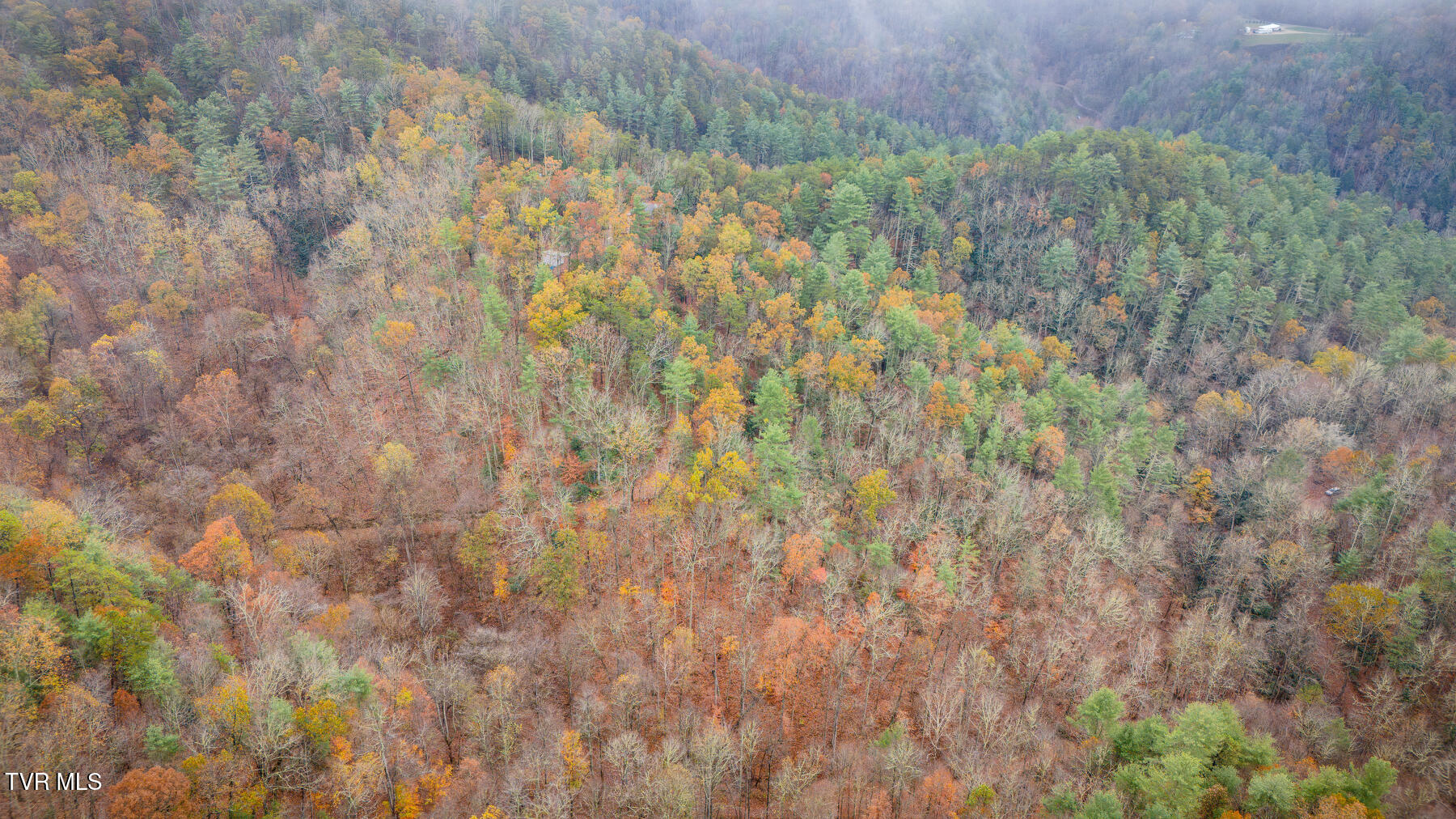 1272 Peach Orch Way Del Rio, TN 37727 - Photo 52 of 56 _Pic52 (15)