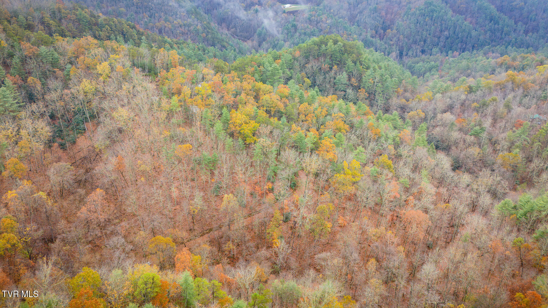 1272 Peach Orch Way Del Rio, TN 37727 - Photo 53 of 56 _Pic53 (15)