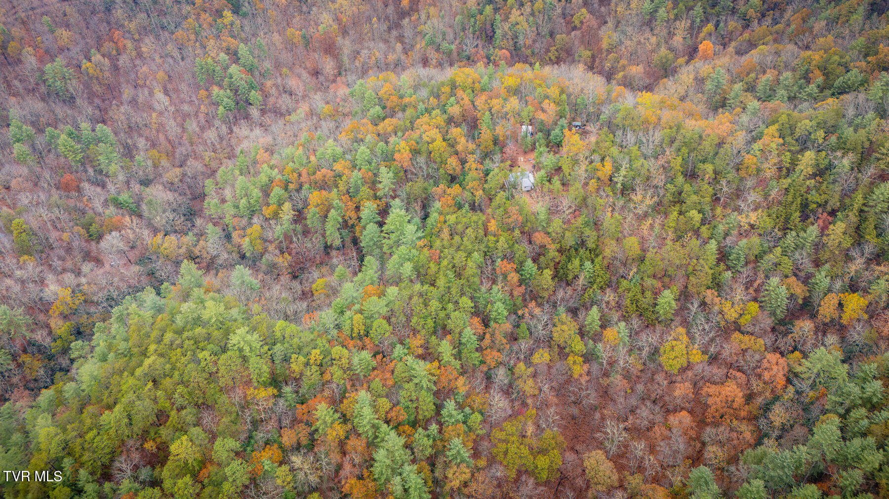 1272 Peach Orch Way Del Rio, TN 37727 - Photo 55 of 56 _Pic55 (15)